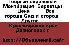 Георгин сиреневый. Монтбреция. Бархатцы.  › Цена ­ 100 - Все города Сад и огород » Другое   . Красноярский край,Дивногорск г.